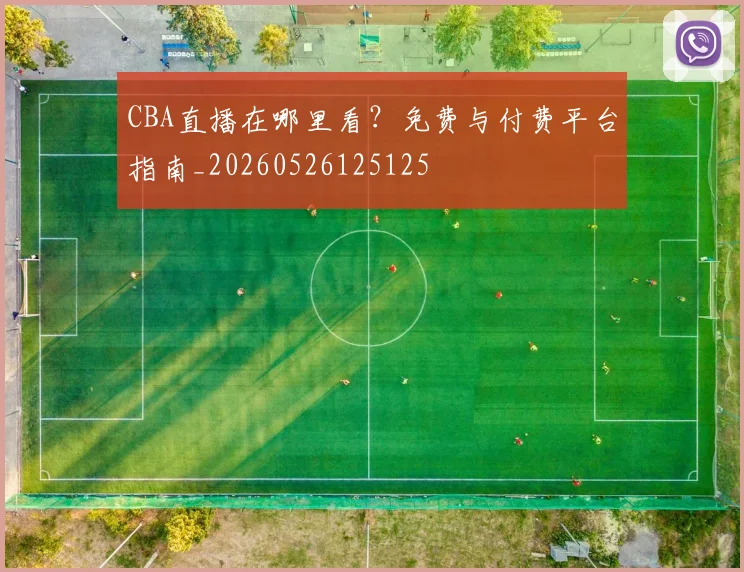 CBA直播在哪里看?免费与付费平台指南_20260526125125