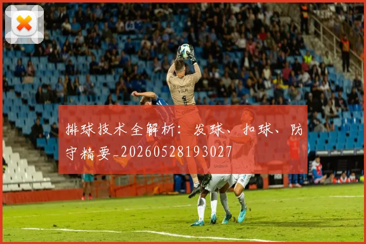 排球技术全解析:发球、扣球、防守精要_20260528193027