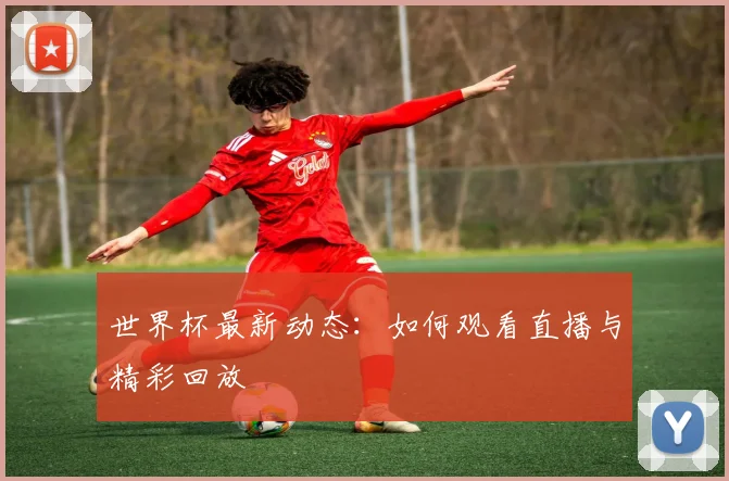 世界杯最新动态：如何观看直播与精彩回放